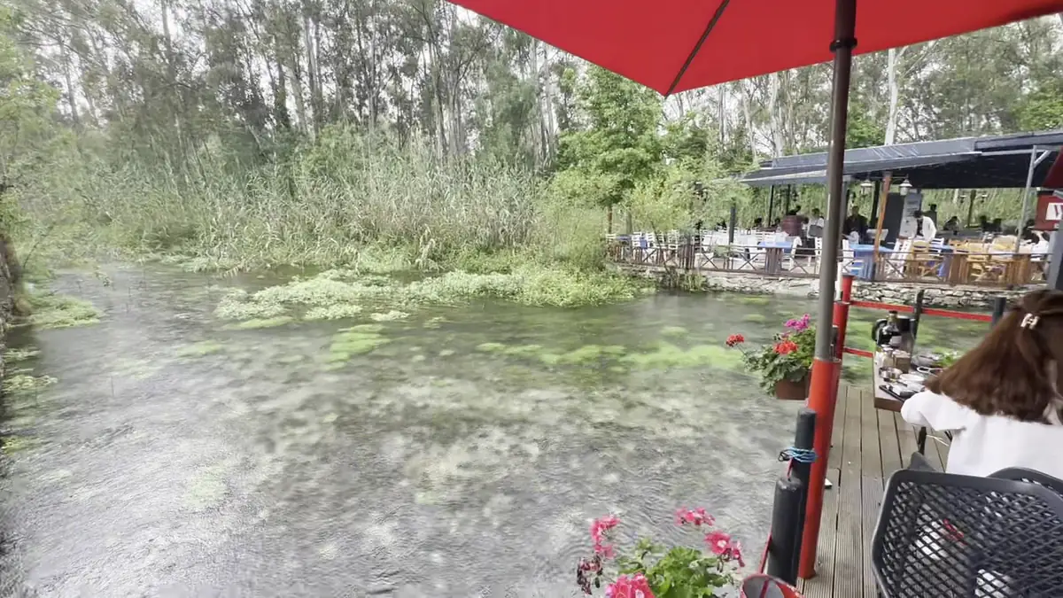 Azmak Nehri’nin yeşil su bitkileriyle kaplı berrak yatağı