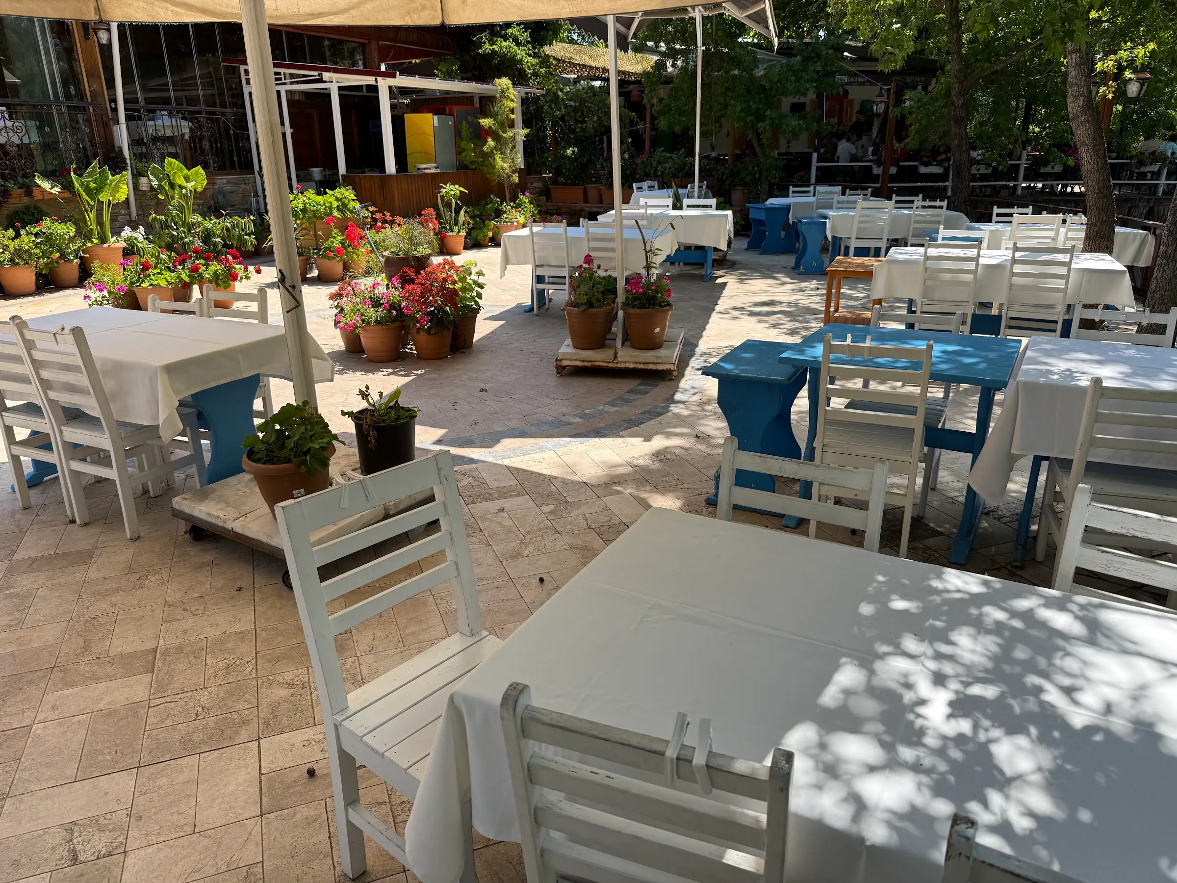 Ağaç gölgesinde kurulmuş mavi-beyaz restoran masaları